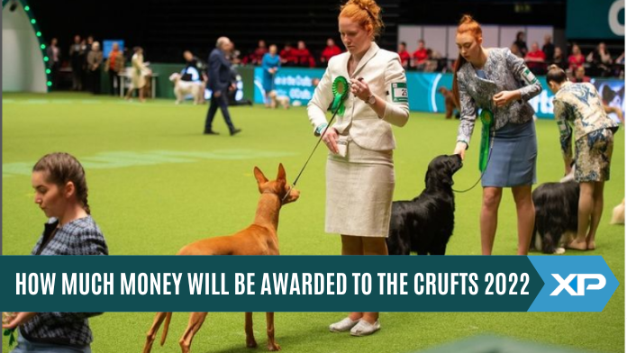 How Much Money Will Be Awarded To The Crufts 2022