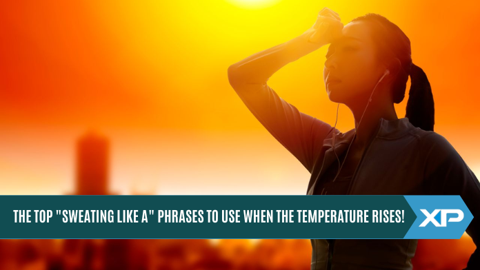The Top "Sweating Like A" Phrases to Use When the Temperature Rises!