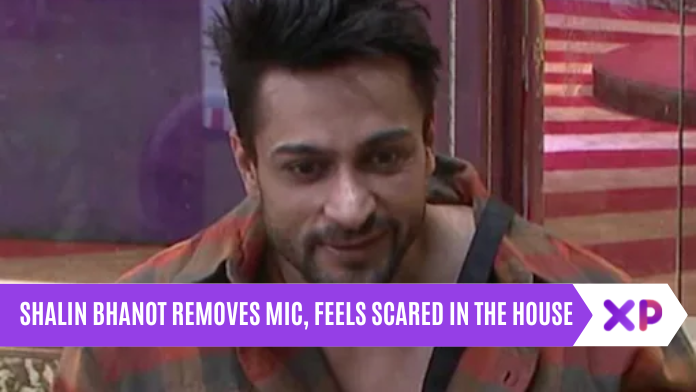 Shalin Bhanot Removes Mic, Feels Scared in The House