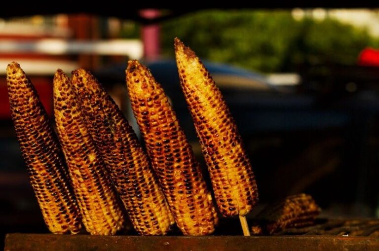 How to Grill Corn on the Cob in the Husk
