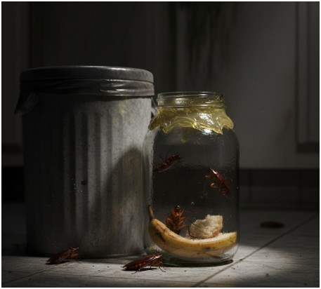Jar Traps- how to get rid of roaches overnight diy