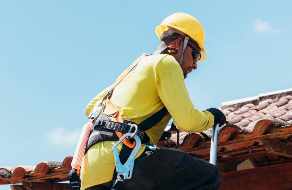 Early Detection of Structural and Water Issues