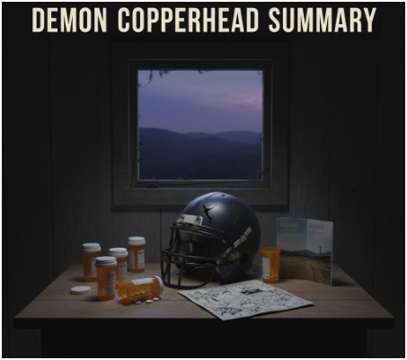 What Can You Learn From the Demon Copperhead Summary If You’re Reading It for Life Lessons?