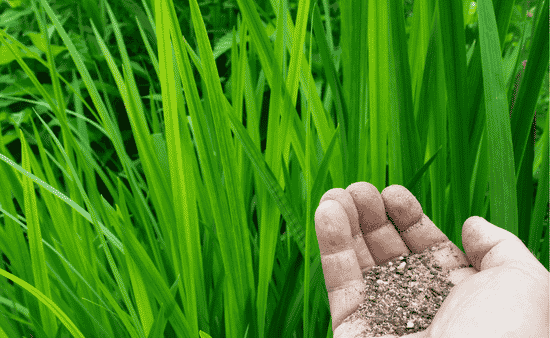 Where Wholesale Fertilizer Demand Is Headed