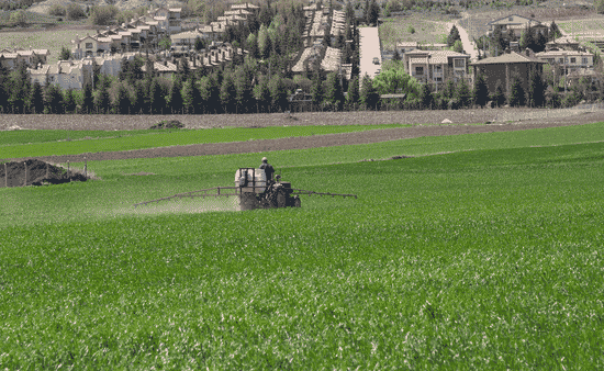 Why Mil Agro’s Wholesale Model Supports Margin Discipline