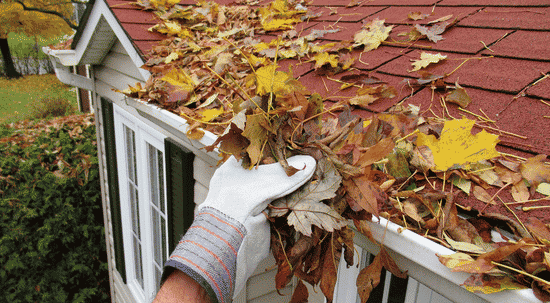 The Hidden Mechanisms of Roof and Gutter Deterioration