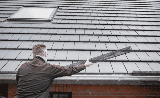 What Is Safe Clearance Pruning